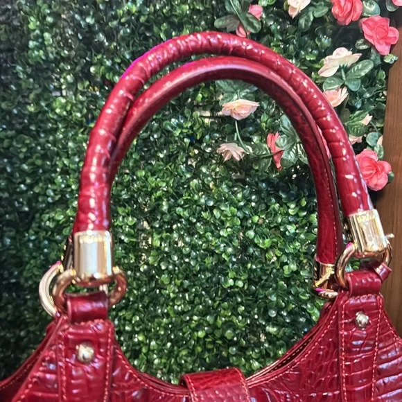 🚨🚨RED BRAHMIN STATCHEL🚨🚨 - Picture 4 of 7